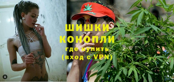 шишки Белоозёрский