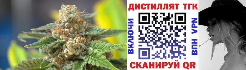 где можно купить   Бородино  ТГК THC oil 