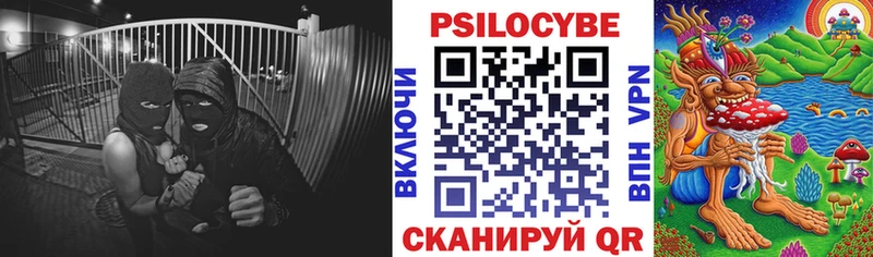 Галлюциногенные грибы прущие грибы  Бородино 
